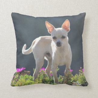 花壇のかわいいChihuahuha クッション