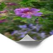 花壇の椅子に座るタキシード猫 ポスター (角)