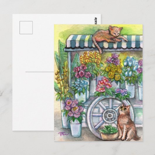 花壇の猫 ポストカード (正面/裏面)