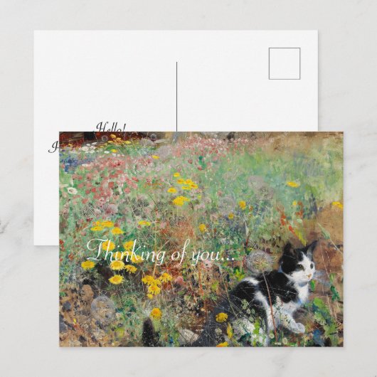 花壇の猫 ポストカード (正面/裏面)