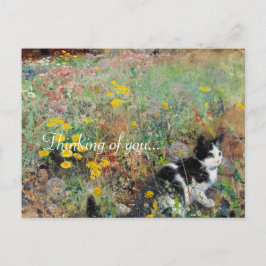 花壇の猫 ポストカード