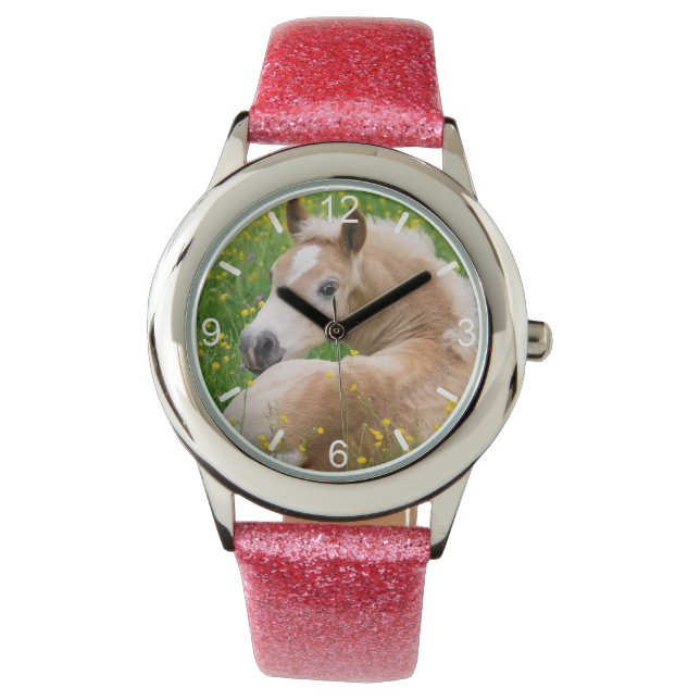 花壇ダイヤルでハフリンガーホースかわいいフォールプレート 腕時計 (正面)