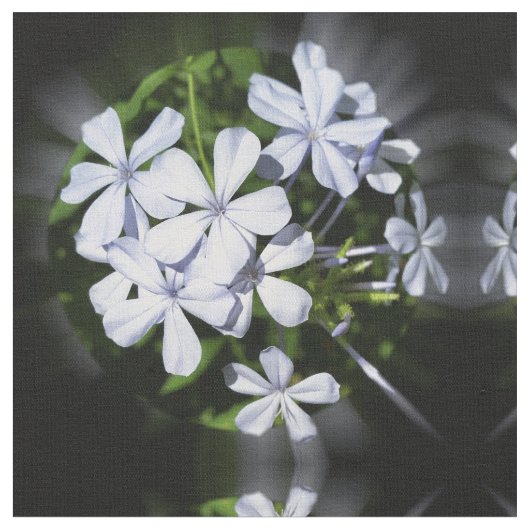 花壇 ファブリック (クローズアップ)