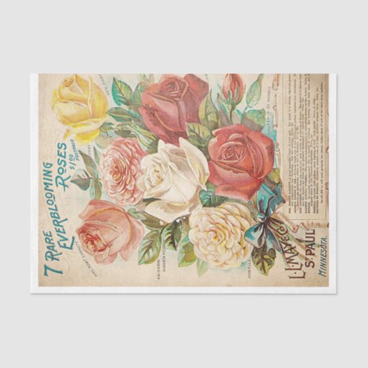 花壇 薄葉紙 (正面)