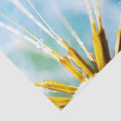 花好き |美しいタンポポポの花 薄葉紙 (詳細)