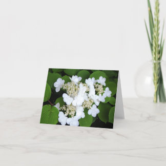 "花好みます蝶"を カード