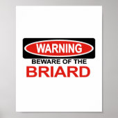 花嫁に用心する ポスター (正面)