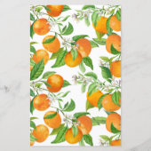 花嫁のことはよく知っている – Orange (裏面)