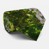 花嫁のタイの遅い日の栄光の祖父 ネクタイ (ロール)