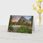 花嫁のベールの滝 カード (黄色い花)