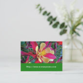 花子供部屋名刺 名刺 (スタンド正面)