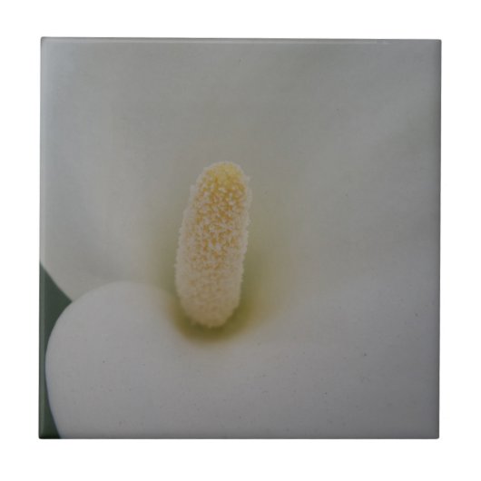 花小（4.25インチx 4.25インチ）セラミック写真タイル タイル (正面)