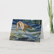 『花崗岩の小名』