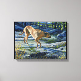 花崗岩の跡のコナ キャンバスプリント