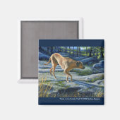 花崗岩の跡のコナ マグネット (正面/裏面)