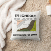 花崗岩を取り上げるつもりはない クッション (ブランケット)