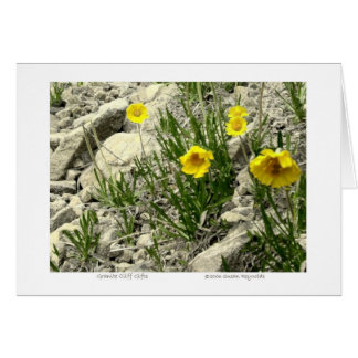 花崗岩クリフギフト