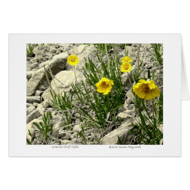 花崗岩クリフギフト (正面横)