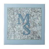 花崗岩象嵌 タイル (正面)