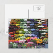 花市場 ポストカード (正面/裏面)