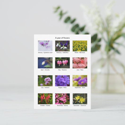 花年はがき ポストカード (スタンド正面)