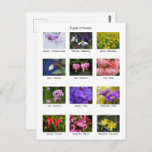 花年はがき ポストカード (正面/裏面)