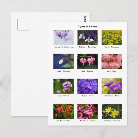 花年はがき ポストカード (正面/裏面)