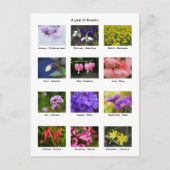 花年はがき ポストカード (正面)