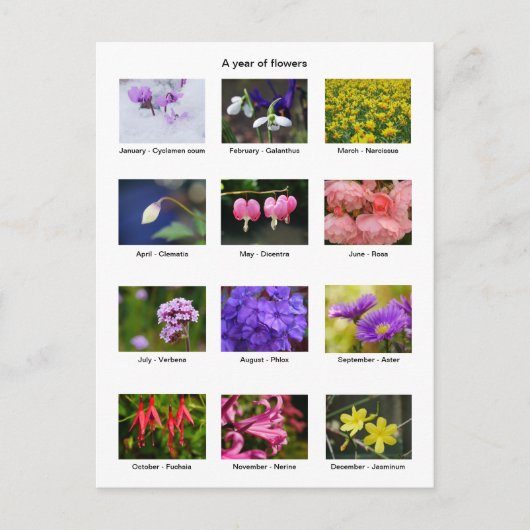 花年はがき ポストカード (正面)