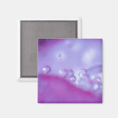 花弁に露を付ける抽象芸術。クレジット: マグネット (正面/裏面)