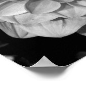 花弁パターン ポスター (角)