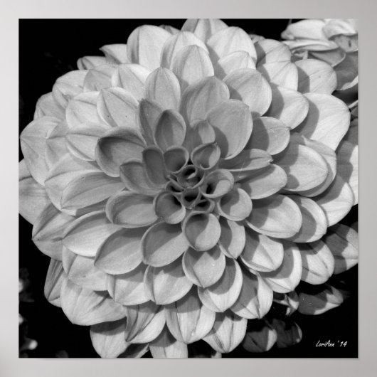 花弁パターン ポスター (正面)