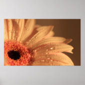 花弁滴 ポスター (正面)