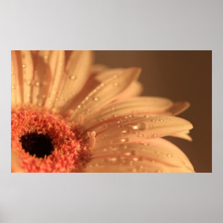 花弁滴 ポスター