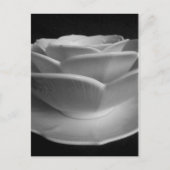 花弁鉢 ポストカード (正面)