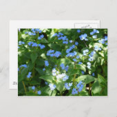 花忘れは ポストカード (正面/裏面)