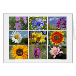 花恋人のカード