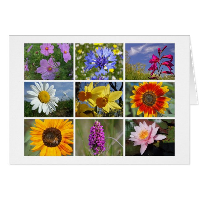 花恋人のカード (正面横)