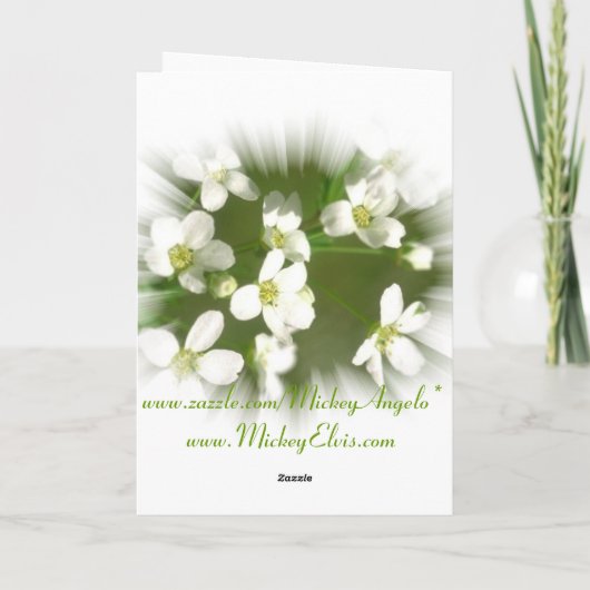 花愛 カード (裏面)