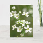 花愛 カード (正面)