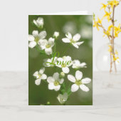 花愛 カード (黄色い花)