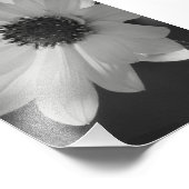 花房付き フォトプリント            (角)