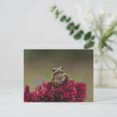 花日本ののカエル ポストカード (スタンド正面)