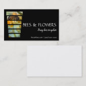 花春写真蜂 名刺 (正面/裏面)