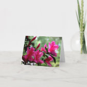 花札 カード (正面)