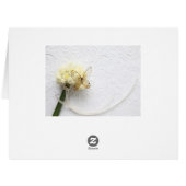 花束の上の蝶 (裏面横)