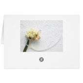 花束の上の蝶 (裏面横)