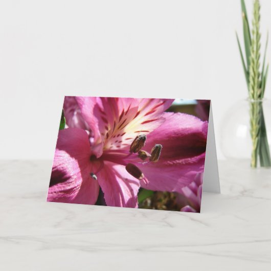 花束の中の花 カード (正面)