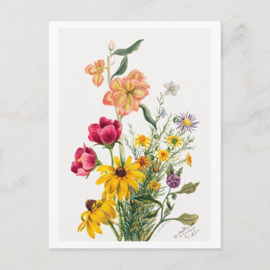 花束植物性イラストレーション ポストカード (正面)