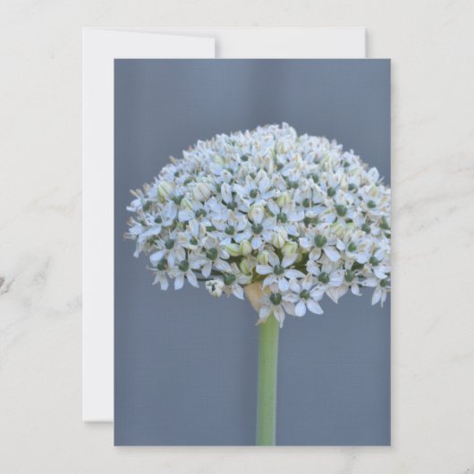 花束結婚の 招待状 (裏面)